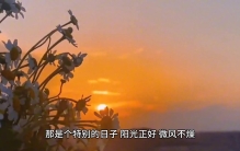 闪光灯下，姐姐姐夫的牵手，是娱乐圈中最耀眼的爱情画面之景