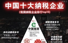 中国十大纳税企业