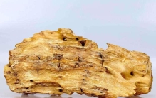 东莞有什么特产带回家？东莞必买的十大特产