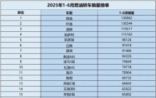 燃油车卖不动了？ 1-6月燃油轿车销量榜单 4款销量超十万 迈腾第六