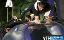 憋气世界纪录多长时间（24分33秒）