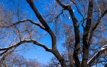 飞檐翘角间的华夏智慧：探寻中国古建筑屋顶曲线之美​