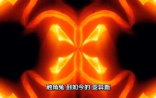 美国水域惊现奇异生物，引发科学界热议