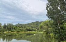 人间仙境！潍坊初秋的山里，它们从青涩奔向成熟