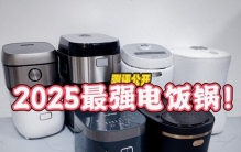 电饭锅怎么选？排名前十名实测到底哪个品牌好又安全？