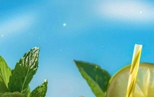 世界上最清凉的薄荷——日本薄荷