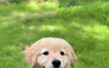 高性价比品牌有哪些？排行榜出炉，照着买不花冤枉钱