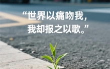 10年植物学家揭秘：最让人破防的生存智慧，就藏在这株小草里！