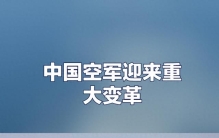 未战之勇：当"未实战"成为最骄傲的勋章