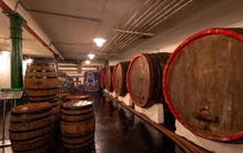 “厂区”变“景区” 各地工厂游凭什么火出圈？