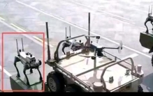 它不是“机器狗”，是“狼”！阅兵场上的萌物”秒变杀器