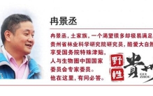 野性贵州 有问必答丨它是神秘又惊艳的幽灵之花，花瓣翻卷如龙爪