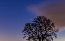 一个小小的科普：作为夜空中最亮的星之一，金星怎么这么亮？