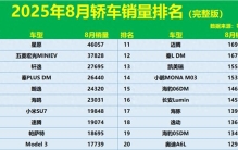 燃油车大败！8月轿车销量排名：1-218名，秦PLUS第4，帕萨特第9！