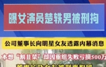 昔日首富翻车曝光：给明星女友“内幕”反亏500万，双双被刑拘