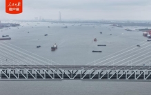 世界最大跨度斜拉桥，正式通车运营！