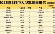 格局大变！8月中大型车销量榜公布：国产车前十占六，奔驰E级第6