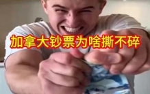 为什么加拿大的钞票撕不碎,是世界最牢固的钞票之一,大开眼界了