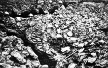 冰与火之歌：东北抗联如何用桦树皮日记谱写抗战最悲壮孤军史诗