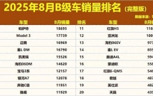 8月B级车销量排行榜，Model 3丢冠，凯美瑞第5，天籁排名20