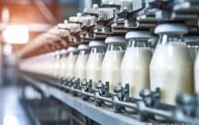 荷兰合作银行2025全球乳业20强揭晓：排名波动剧烈