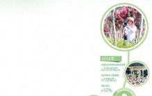 从寻常植物变成网红单品，小小绿植变身记！