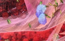 靠吃给身体“消炎”，专家点名6类食物，看看有没有你常吃的