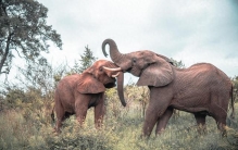 古典奇闻小故事六则