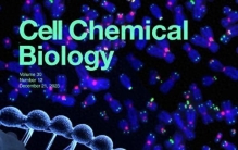 【科学之光：点亮人类文明的伟大灯塔】