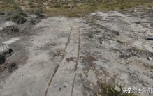 “世界最快”“中国最长”！内蒙古有新发现→