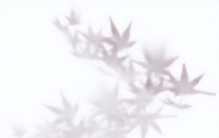 古人对20种植物的雅称，每个都美到不行