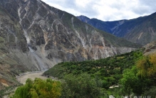 竟然是它！西藏又一项吉尼斯世界纪录诞生