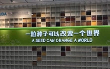 如何成为一颗能丰收的种子？