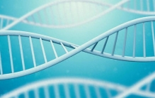 世界上最长寿老人长寿的秘密，拥有年轻微生物组和卓越基因组