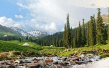 40多年，我不间断记录了新疆的历史进程