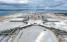 翔安连续刷新纪录！全球罕见、亚洲首个、世界最大......