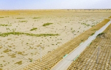 新华走笔丨沙漠何曾荒凉