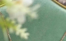 2025年度购物排行榜前十名的奢侈品首饰：为什么有一些烂大街了。