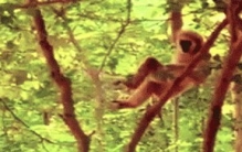 世界之大无奇不有；带你看不一样的奇闻趣事