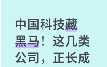 中国科技藏黑马！这几类公司，正长成世界级巨头
