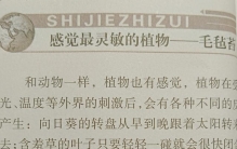 挑战抄全书《世界之最》第八十八天