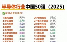 中国一些科技公司最可能成长为世界级巨头