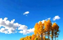 两性关系男女相处最舒服的四个方法，第二个特别管用