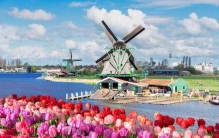 世界上最“自由”的国家：大麻合法，男女开放，芯片技术全球顶尖