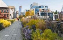 走进皮特·奥多夫的“野生花园”：植物野蛮生长才是最高级的设计