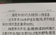 挑战抄全书《世界之最》第九十二天