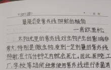 挑战抄全书《世界之最》第九十四天