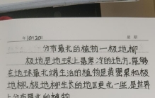 挑战抄全书《世界之最》第九十六天