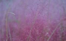 人类快乐的多维光谱：从本能到觉醒的七重境界