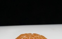 奇石植物世界，足够照亮你的美！